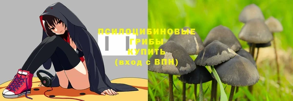 экстази Медвежьегорск