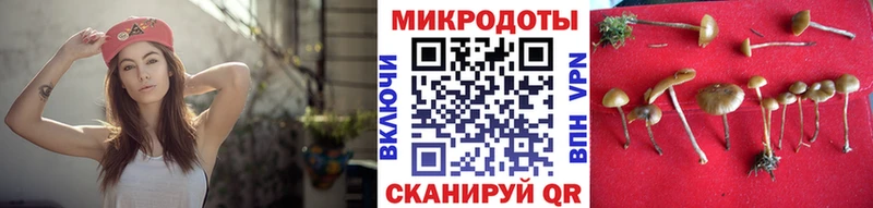 Псилоцибиновые грибы GOLDEN TEACHER  Купить закладки  Кизляр 